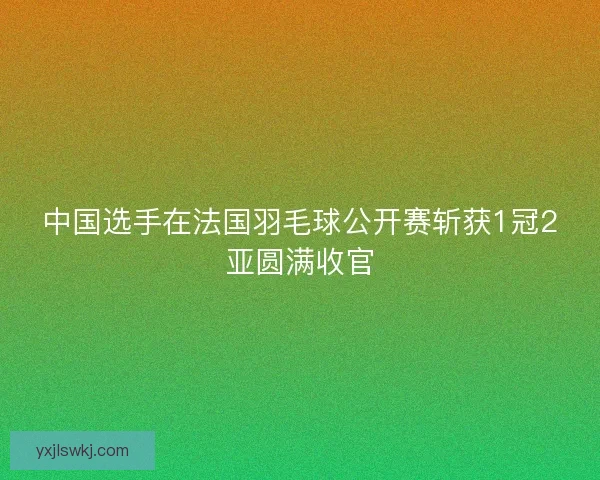 中国选手在法国羽毛球公开赛斩获1冠2亚圆满收官
